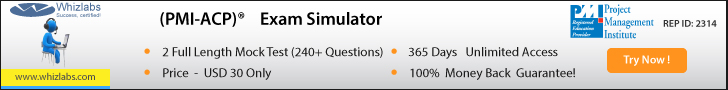 pmi-acp simulator-04.jpg - 65.63 kB